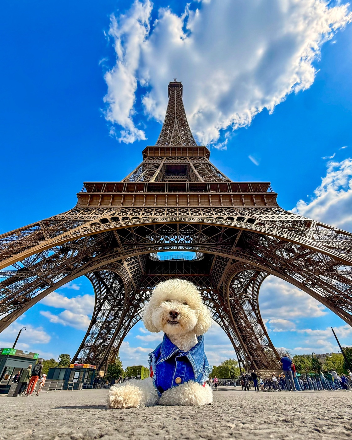 Ollie in front of the Eiffel Tower in Paris